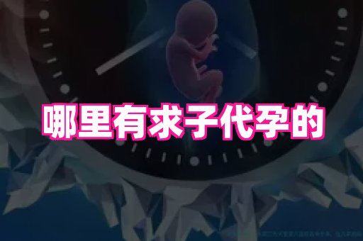 福建助孕网 3